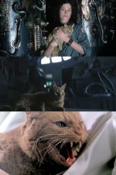 Sigourney Weaver Cat Alien Meme Template