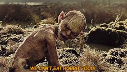 Can't eat hobbit food Meme Template