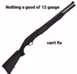 nothing a good ol 12 gauge cant fix Meme Template