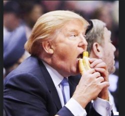 Trump eats dogs Meme Template