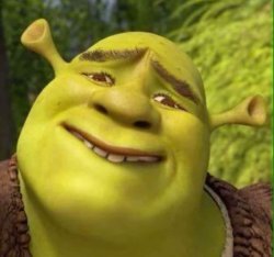 Shrek pleading Meme Template