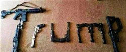 Trump guns Meme Template