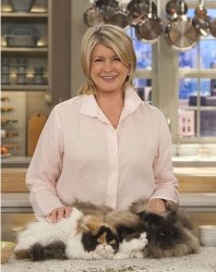 Martha Stewart Cats Meme Template