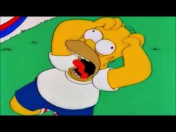 Homer nooooo Meme Template