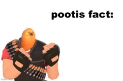 pootis fact Meme Template