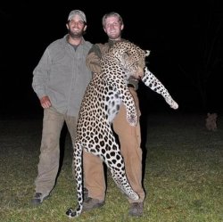 Trump Sons Killers Meme Template