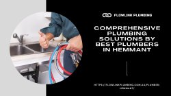 Comprehensive Plumbing Solutions by Best Plumbers in Hemmant Meme Template