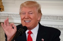 Trump ok grin Meme Template