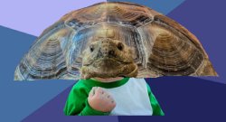 Turtle success kid Meme Template