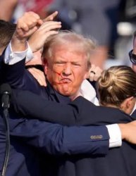 trump shot Meme Template