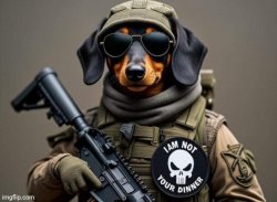 Tactical Dog Meme Template