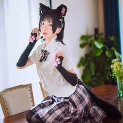 Cat Cosplay Meme Template