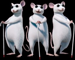 3 blind mice Meme Template