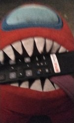Where the remote goes Meme Template