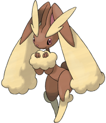 Lopunny Meme Template