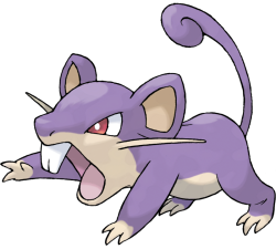 Rattata Meme Template