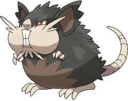 Alolan Raticate Meme Template