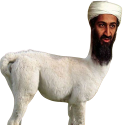 Osama Bin Llama Meme Template