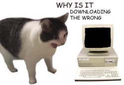 Why Meme Template