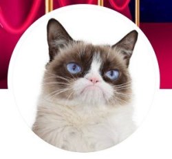 Grumpy cat inspiref Meme Template