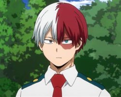 Todoroki Shoto Meme Template