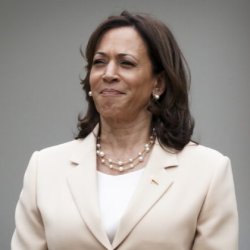 Kamala Harris Meme Template