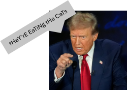 Unserious Trump Meme Template