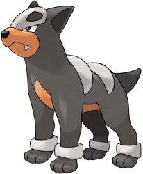 Houndour Meme Template