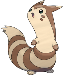 Furret Meme Template