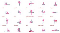 Sex Poses Meme Template