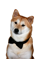 Fancy Shiba Meme Template