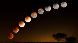 Lunar Eclipse Moon Phases Meme Template