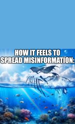 How it feels to spread misinformation (COS edition) Meme Template