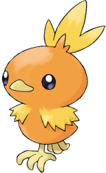 Torchic Meme Template