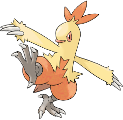 Combusken Meme Template