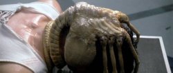 Facehugger Alien Meme Template