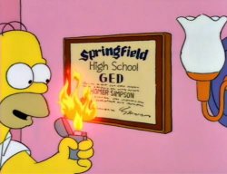 Homer burning his GED Meme Template