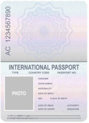 Meme Passport Meme Template