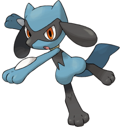 Riolu Meme Template