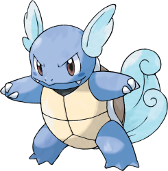 Wartortle Meme Template