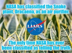 NASA snake plant Meme Template