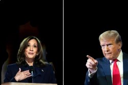 trump and kamala Meme Template