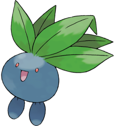 Oddish Meme Template