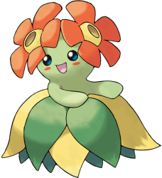 Bellossom Meme Template