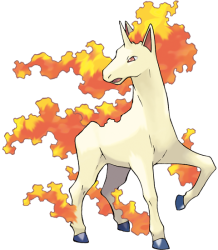 Rapidash Meme Template