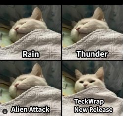 Cat Wake UP Meme Template