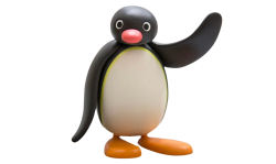 transparent pingu Meme Template