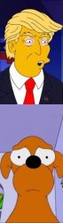 Trump: In Springfield, they are eating the dogs Meme Template