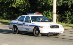 police car Meme Template
