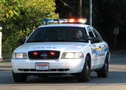police car Meme Template